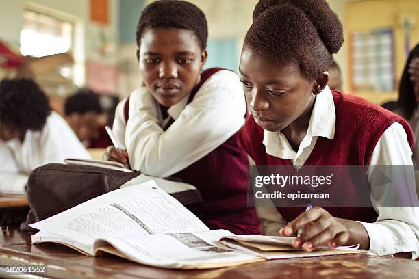 retrato del sur de las niñas africanas estudiando en un campo con montaje tipo aula - africano fotografías e imágenes de stock