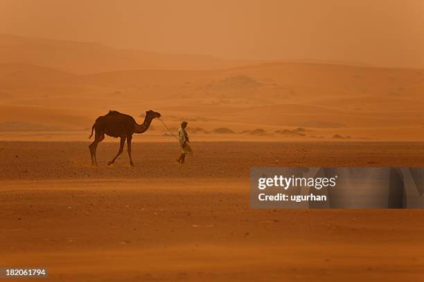 morocco - sandstorm stock pictures, royalty-free photos & images