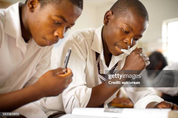 porträt von zwei south african jungen studieren in ländlichen parlamentarische bestuhlung - traditionelle südafrikanische kultur stock-fotos und bilder