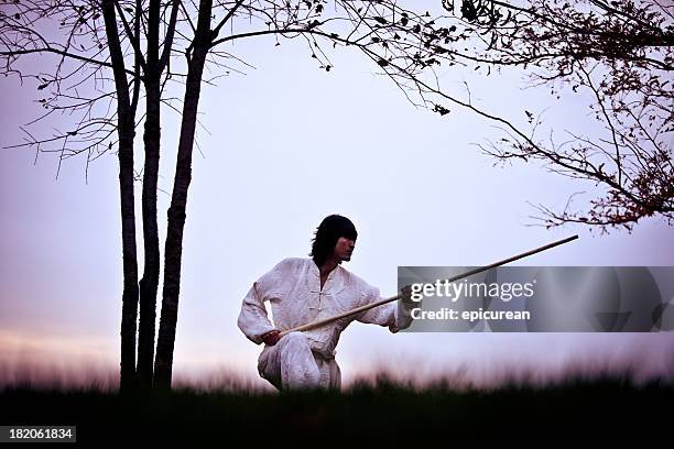 kung fu warrior in training at sunset - kung fu stock pictures, royalty-free photos & images