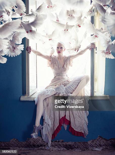 freedom - white pigeon stock pictures, royalty-free photos & images