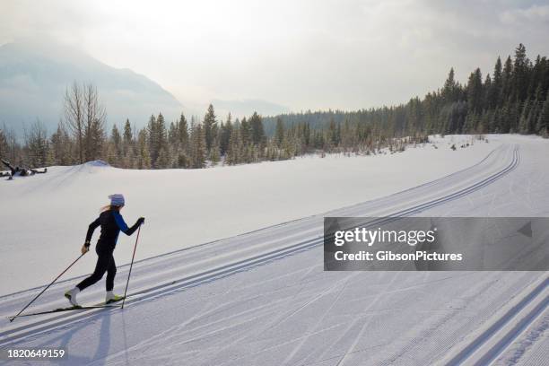 cross-country skiing woman - canmore stock pictures, royalty-free photos & images