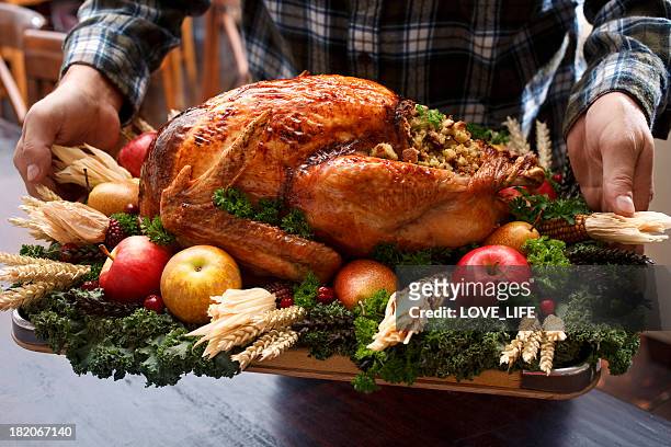 roast turkey dinner straight out of oven - turkey meat stock pictures, royalty-free photos & images