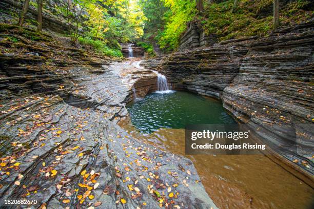 parque estatal buttermilk falls, ithaca ny - swimming hole - finger lakes fotografías e imágenes de stock