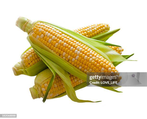 corn - husk stockfoto's en -beelden