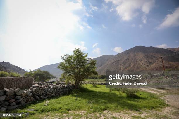 General view of the valley and the mountain Sidr trees on which the bees feed on November 29, 2023 in Sharjah, United Arab Emirates. Fadel Al-Saadi,...
