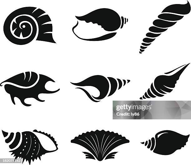 40 Conch Shell Silhouette Stock Photos, High-Res Pictures, and Images ...