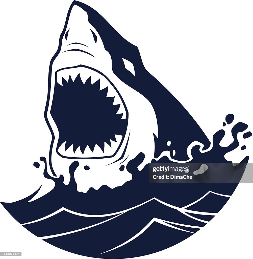 Hai attack