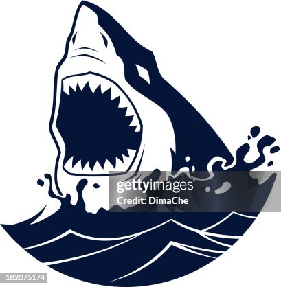 Shark attack Shark attack