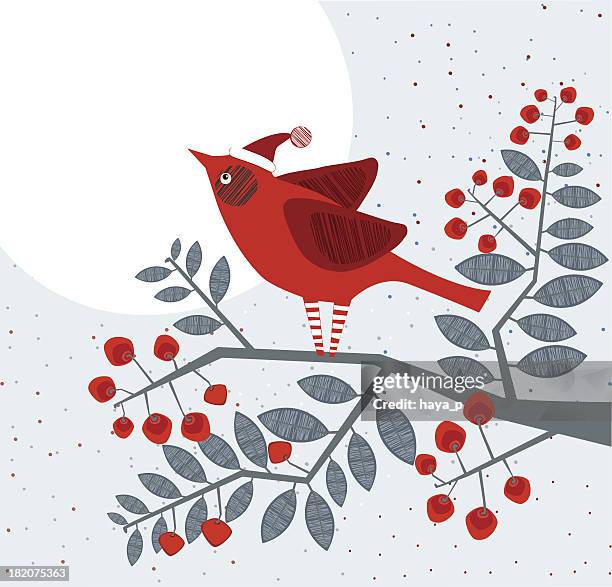 ilustrações de stock, clip art, desenhos animados e ícones de cardeal pássaros na árvore, lua no fundo - blue cardinal bird