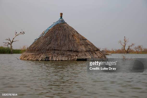 Traditional Tukul house is partly submerged by floodwater on land that was previously a residential community on November 29, 2023 in Bentiu, South...