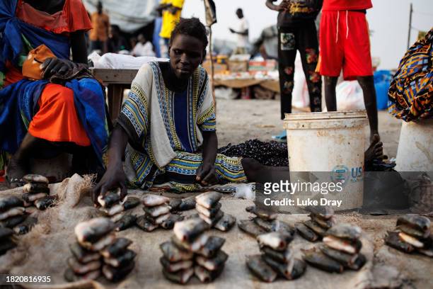 Woman sells Tilapia at a market within an Internally Displaced Persons camp on November 29, 2023 in Bentiu, South Sudan. Climate change has divided...