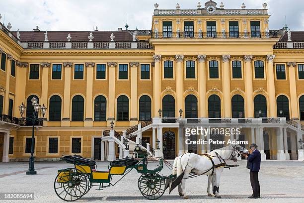 horse & carriage, palais de schonbrunn, vienna, - palácio de schonbrunn imagens e fotografias de stock