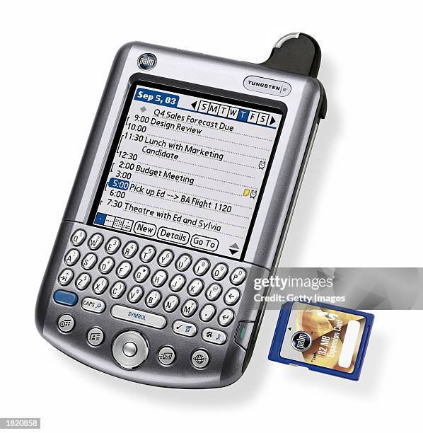 27 Palm Tungsten Stock Photos, High-Res Pictures, and Images - Getty Images