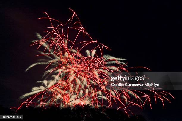 battersea bonfire night - battersea park stock pictures, royalty-free photos & images
