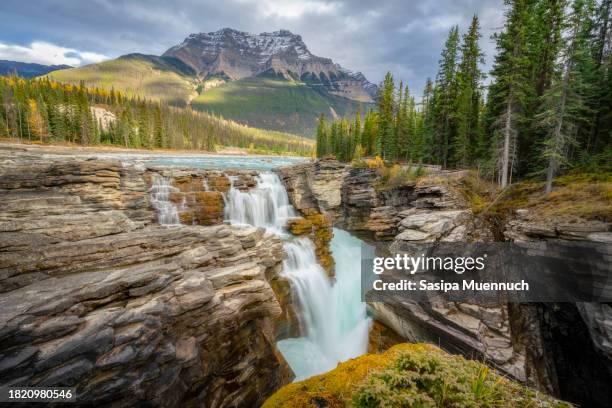 athabasca falls in autumn, jasper national park, alberta, canada - montanhas rochosas canadianas imagens e fotografias de stock