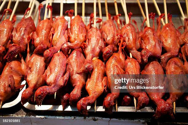 pigeons, fried - roast pigeon stock pictures, royalty-free photos & images