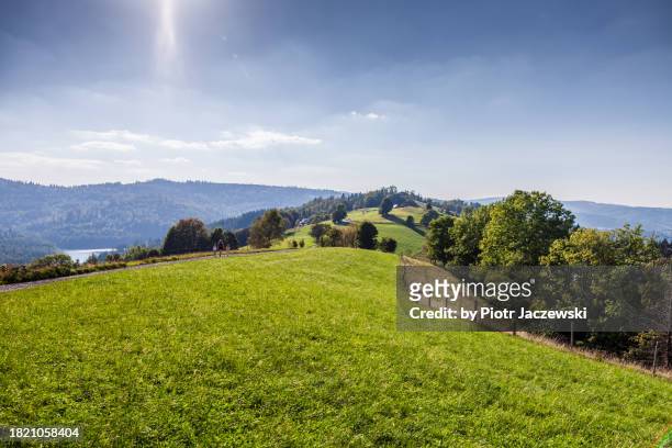 idyllic summer landscape in wisła, poland - poland stock pictures, royalty-free photos & images