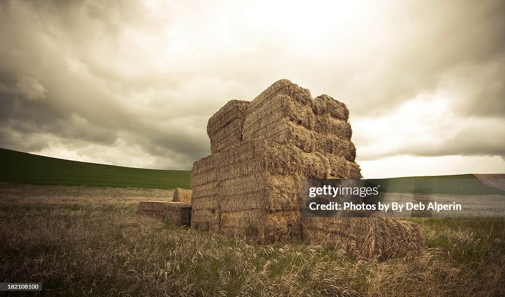 Hay Stack