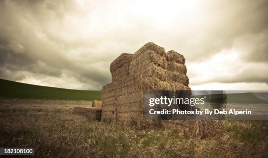Hay Stack Hay Stack