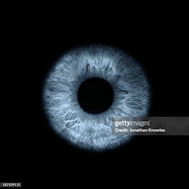 an eye, close-up - iris oog stockfoto's en -beelden