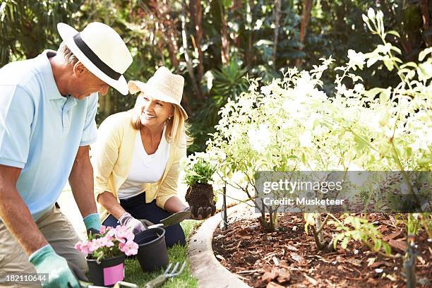 couple gardening - couple gardening stock pictures, royalty-free photos & images