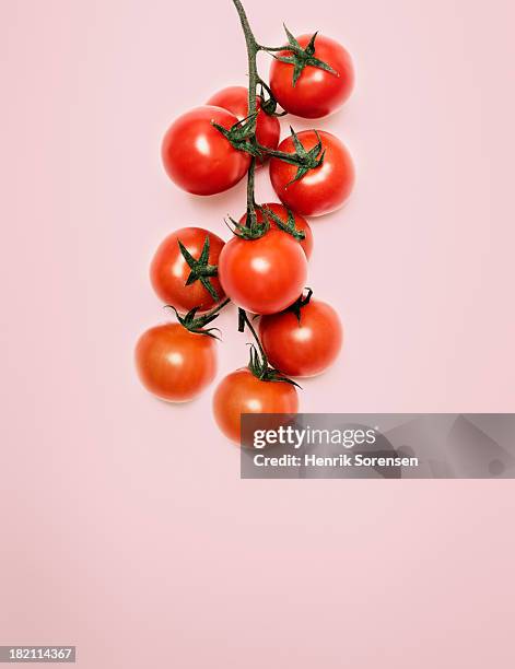 cherry tomatoes - tomate fotografías e imágenes de stock