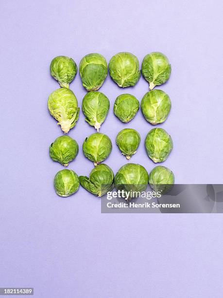 brussels sprouts - brussel sprout stock pictures, royalty-free photos & images