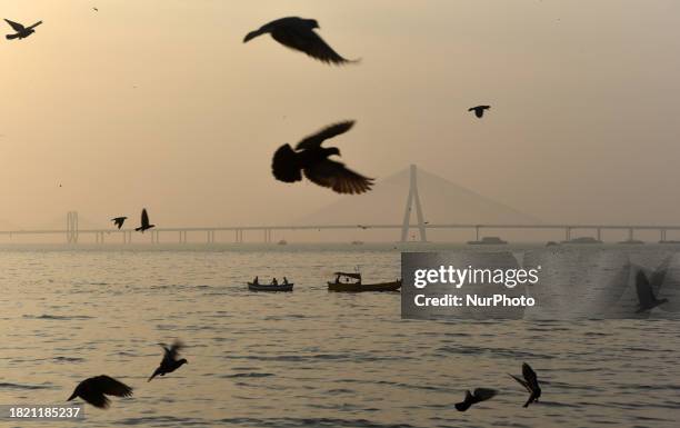 Fishermen are sailing fishing boats in the Arabian Sea with the Bandra-Worli Sea Link in the background in Mumbai, India, on December 4, 2023.