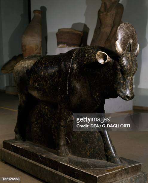Torello Brancaccio, the god Apis bull with the solar disk between its horns, porphyry serpentine statue. Civilisation Egyptian, Ptolemaic Period, 2nd...