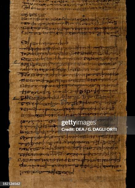 Papyrus Sample Turin Papyrus Photos and Premium High Res Pictures - Getty Images