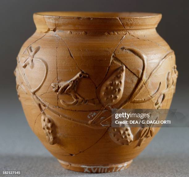 Small terracotta jar with grapes and animals from Ulpia Noviomagus , The Netherlands. Roman Civilisation, 2nd century. Nimega, Rijksmuseum Gm Kam