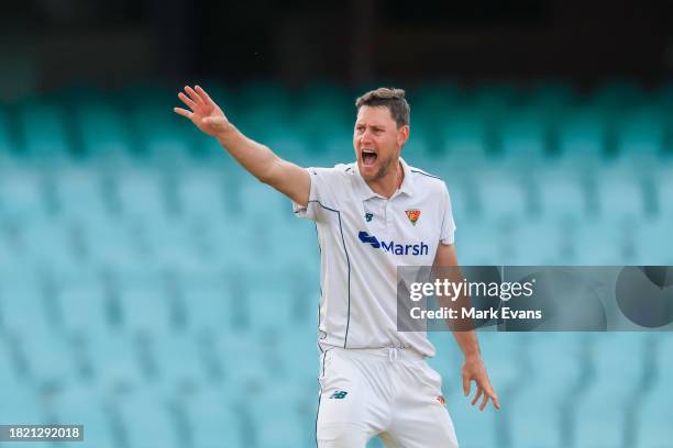 Beau Webster of the Tigers appeals unsucessfully for LBW against Sam Konstas of the Blues during the Sheffield Shield match between New South Wales...
