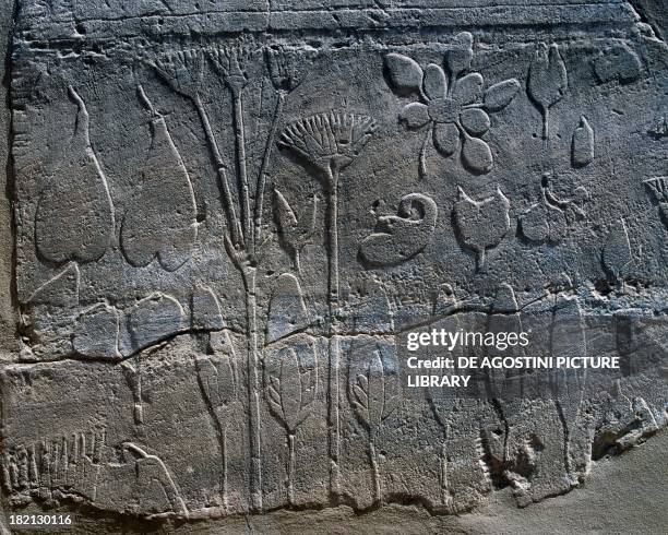 Representations of plants and animals brought from Syria by Thutmose III in 1465 BC, detail from a relief, room known as the Botanical Garden, Karnak...