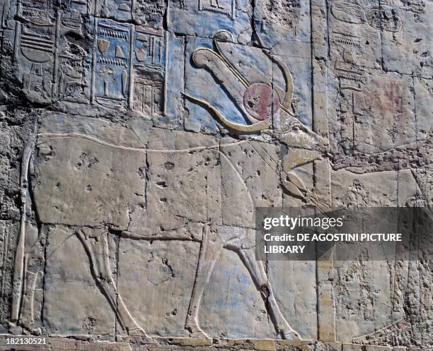 The Goddess Hathor in the form of a sacred cow, painted relief, west wall of the second loggia of the Chapel of Hathor, Mortuary Temple of Queen...