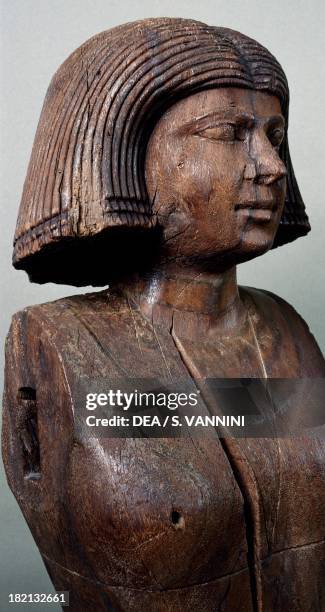 Bust of Ka'aper's wife, wooden statue, from Mastaba C8 in Saqqara. Egyptian Civilisation, Old Kingdom, Dynasty V. Cairo, Egyptian Museum