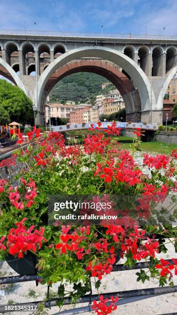 view of the bridge in sori liguria italy - sori liguria stock pictures, royalty-free photos & images
