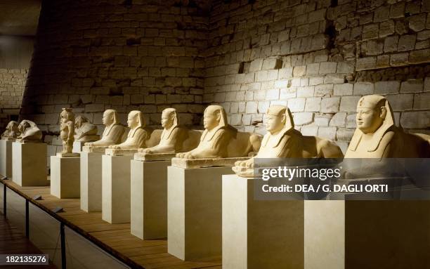 Six sphinxes which lined the entrance way to the Serapeum of Saqqara, 4th century BC, limestone statues. Egyptian Civilisation, Late Period, Dynasty...
