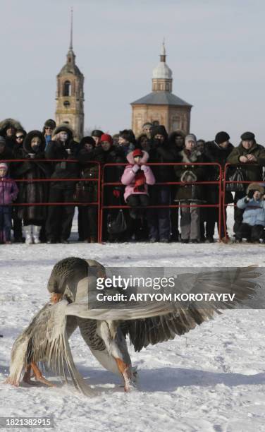 Russian watch a traditional goose fight while celebrating the "Maslenitsa" holiday, some 200km from Moscow in Suzdal on February 13, 2010. The...