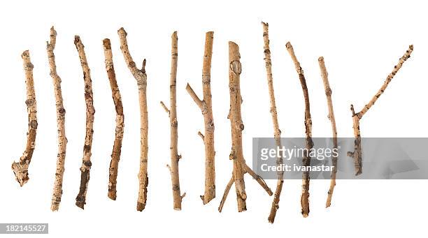 twigs and sticks - isolated twig stockfoto's en -beelden