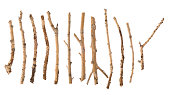 Twigs and Sticks