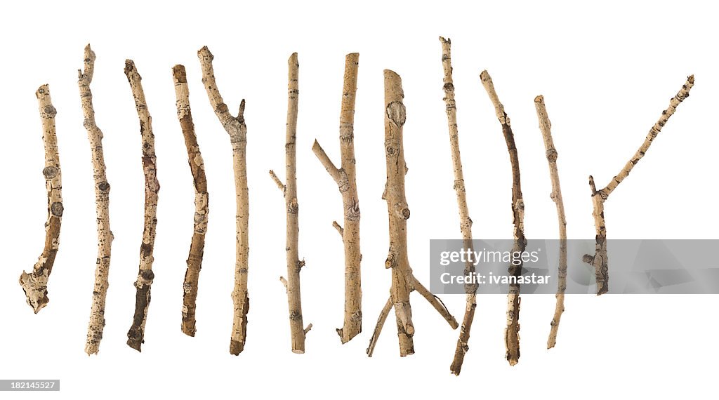 Twigs and Sticks