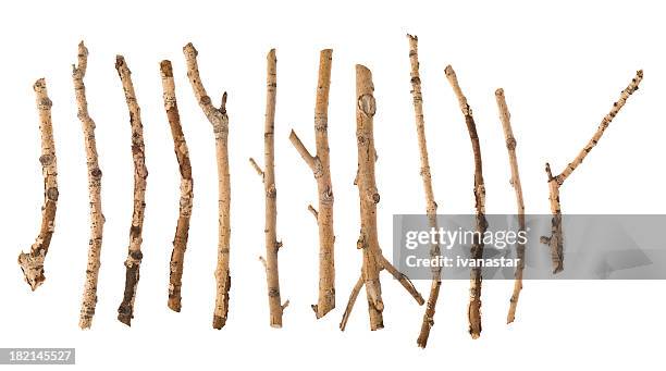 twigs and sticks - limb stock pictures, royalty-free photos & images