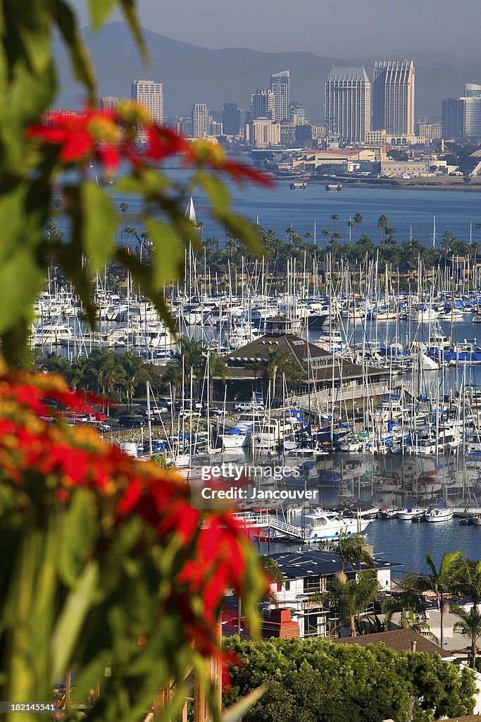San Diego Skyline