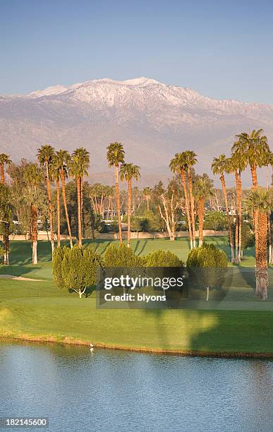 desert resort de golfe - la quinta - fotografias e filmes do acervo