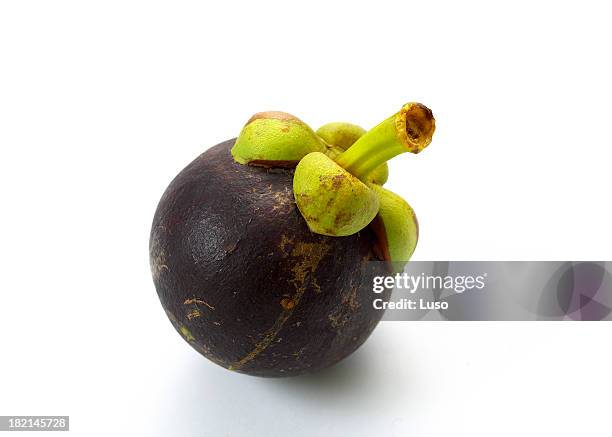 mangostan und exotischen früchten - mangostane stock-fotos und bilder