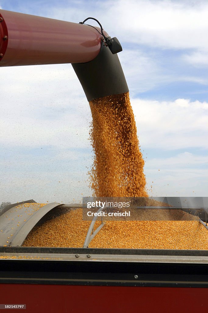 Harvest des souvenirs