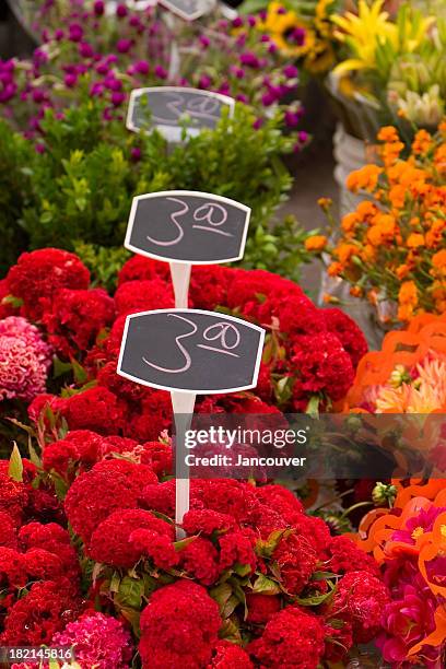 Farmers Market Flower Sale High-Res Stock Photo
