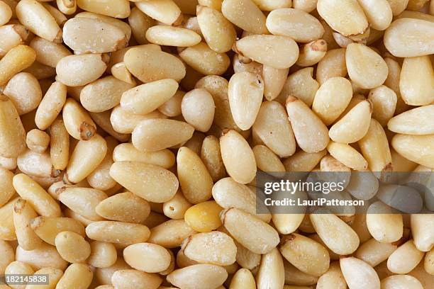 pine nuts background - pijnboompit stockfoto's en -beelden