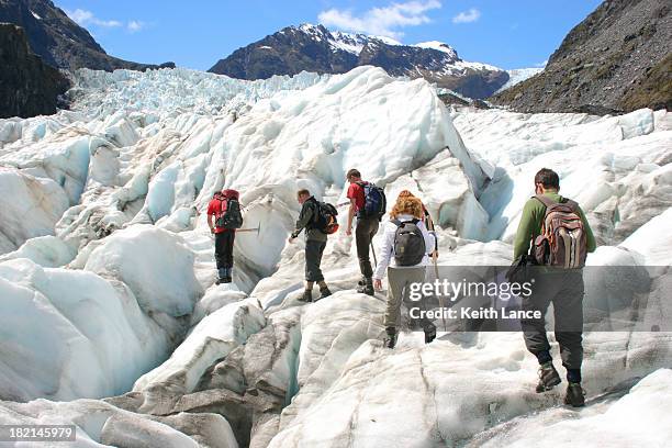 glacier hikers - fox glacier stock pictures, royalty-free photos & images